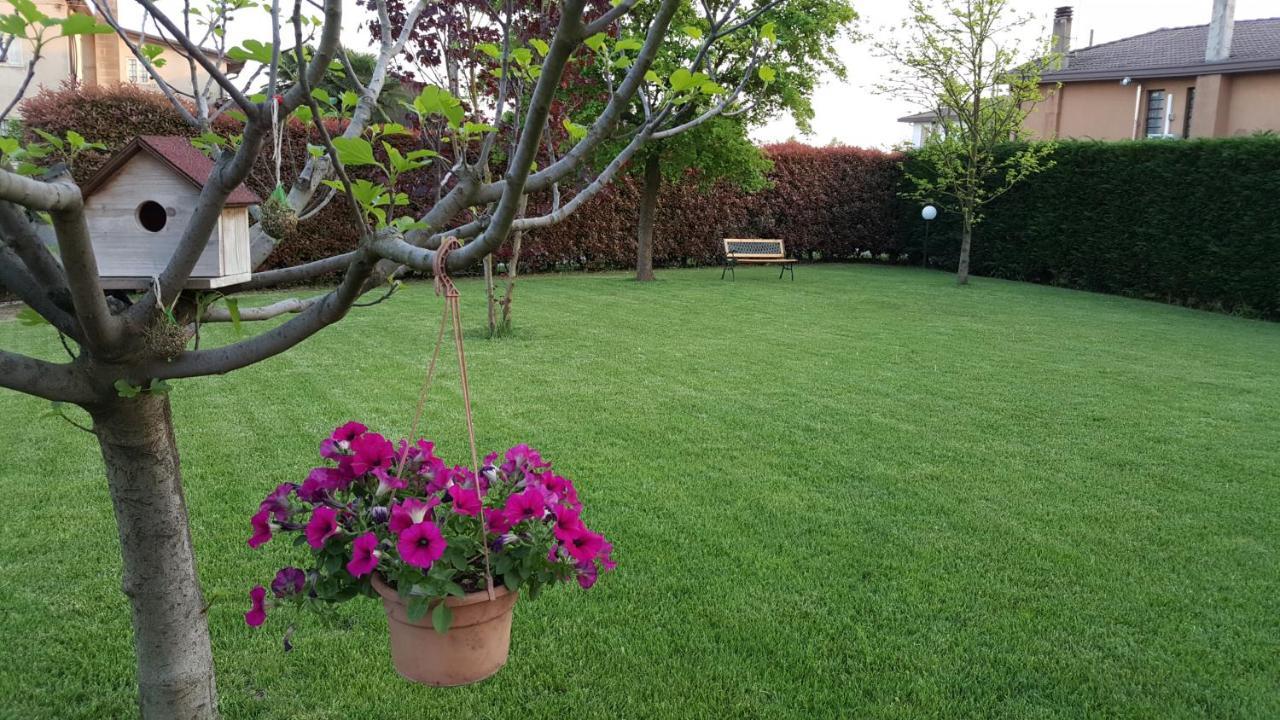 Il Farfasole Bed & Breakfast Vigonovo  Exterior photo