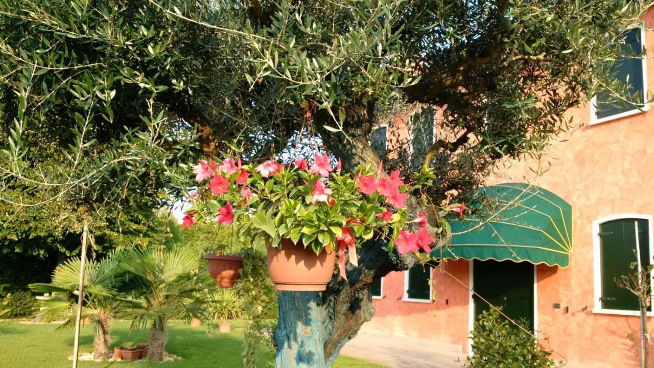 Il Farfasole Bed & Breakfast Vigonovo  Exterior photo