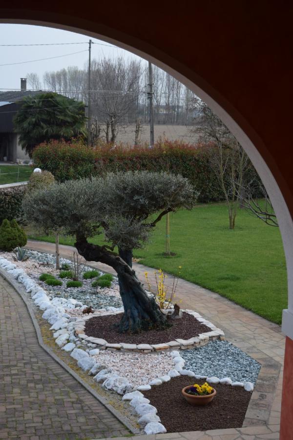 Il Farfasole Bed & Breakfast Vigonovo  Exterior photo